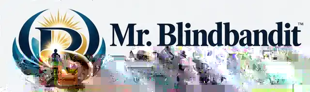 Mr. Blindbandit Access and Opportunity Foundation — Access. Opportunity. Dignity.